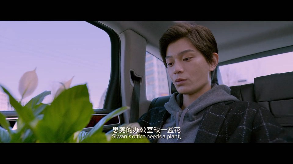 2022国产爱情《十年一品温如言》HD1080P.国语中字截图