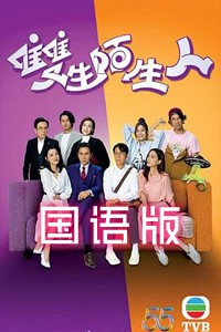 双生陌生人国语封面图