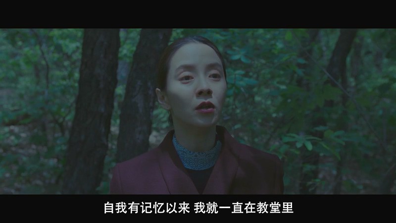2020悬疑惊悚《侵入者》HD720P&HD1080P.韩语中字截图