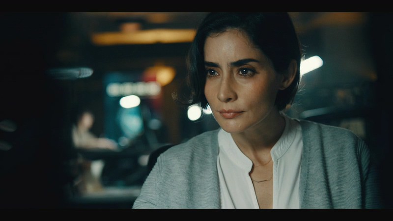 2019美剧《人类清除计划 第二季》10集全.HD1080P.英语中英双字截图
