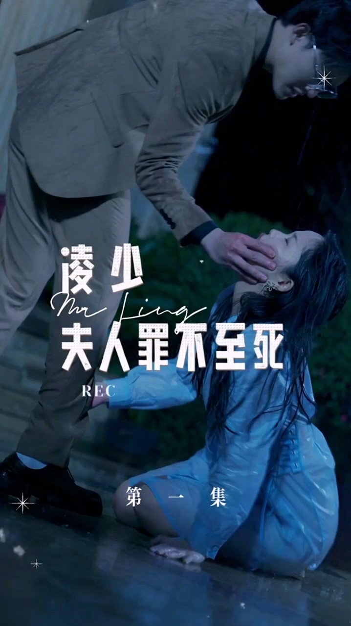 凌少夫人罪不至死合集版封面图