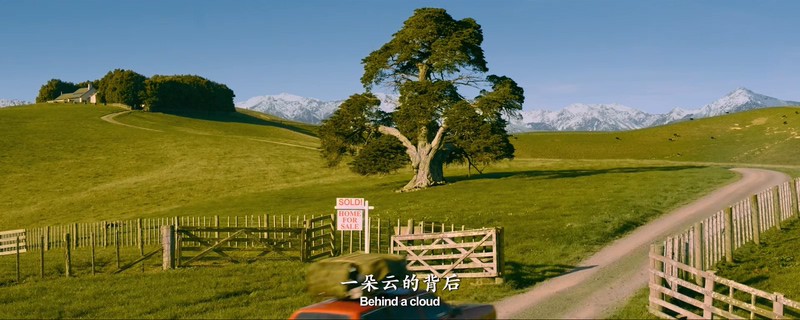 2019国产爱情《只有芸知道》HD1080P.国语中字截图