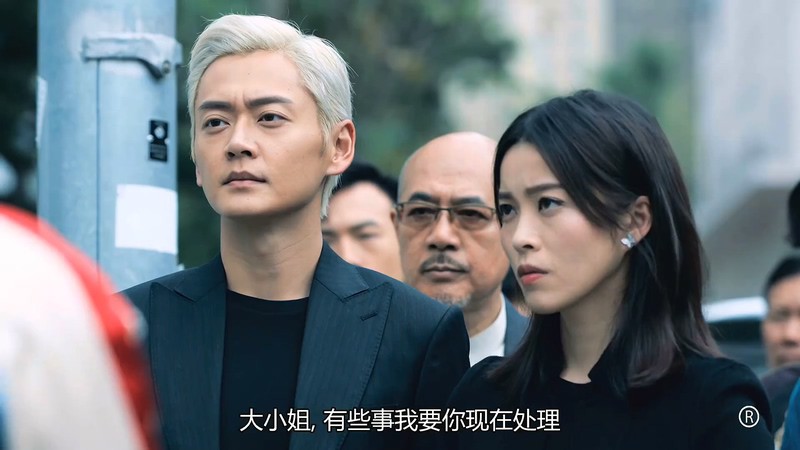 2020港剧《反黑路人甲国语》30集全.HD1080P.国语中字截图