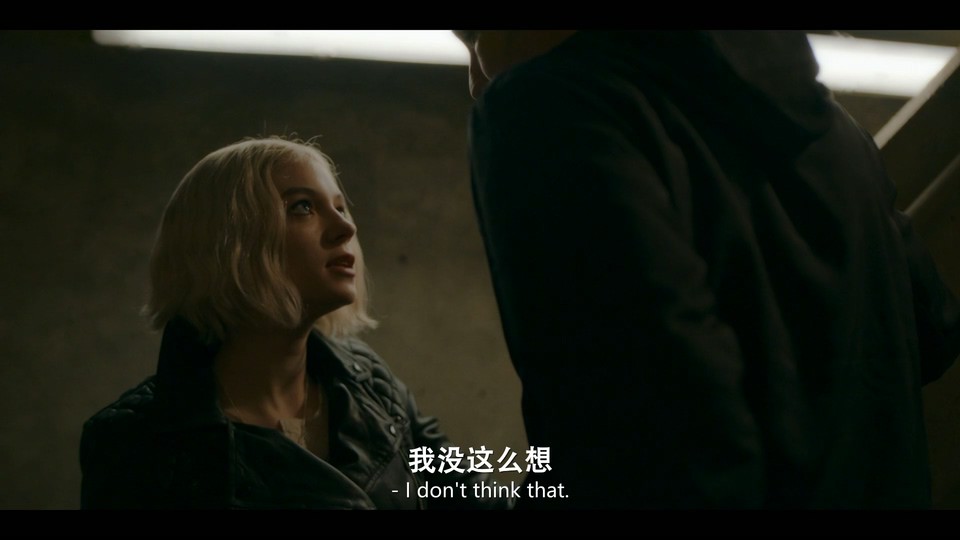 2021美剧《汉娜 第三季》6集全.HD1080P.英语中英双字截图