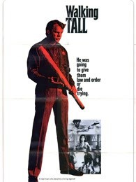 威震八方封面图