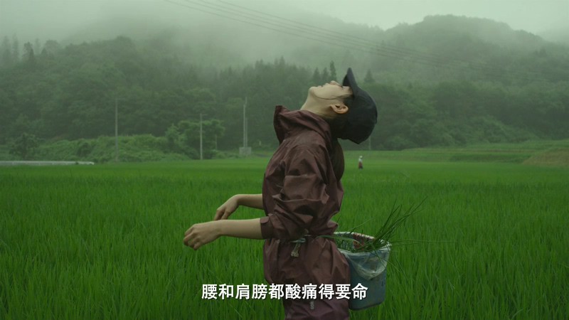 2014高分剧情《小森林夏秋篇》BD720P&BD1080P.日语中字截图