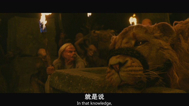 2005奇幻冒险《纳尼亚传奇1：狮子、女巫和魔衣橱》BD1080P.国英双语中英双字截图