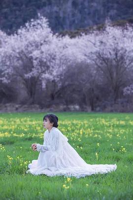 李子柒古香古食全集封面图