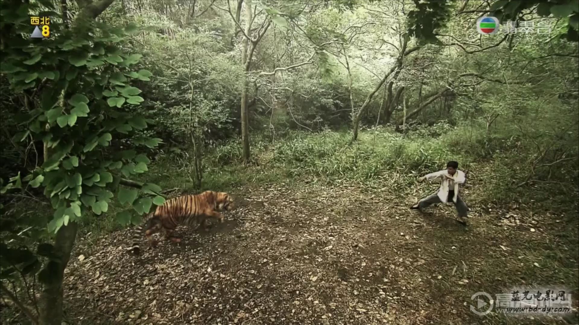 《城寨英雄》28集全.2016香港电视剧.HD720P.国粤双语截图