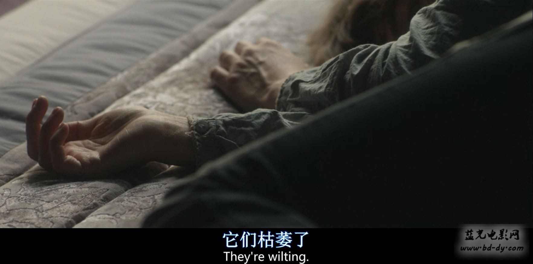 《花》2014年西班牙剧情片.BD中英双字截图