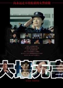 大墙无言封面图