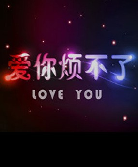 爱你烦不了封面图