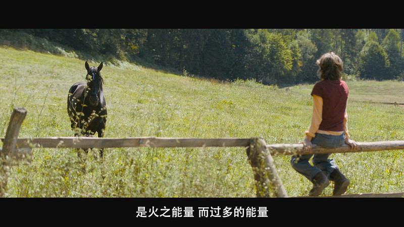 2019德国剧情《骏马奥斯温4》BD720P&BD1080P.德语中字截图