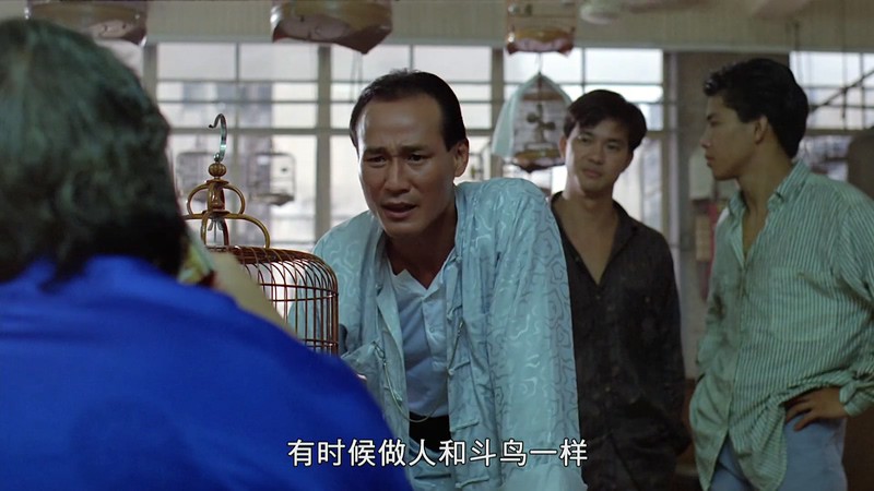 1989香港动作《同根生》HD1080P.国粤双语中字截图;jsessionid=0dH6GP_UoPJLRKvsQBLol63bo1Oqr-u5UKsv4gsR