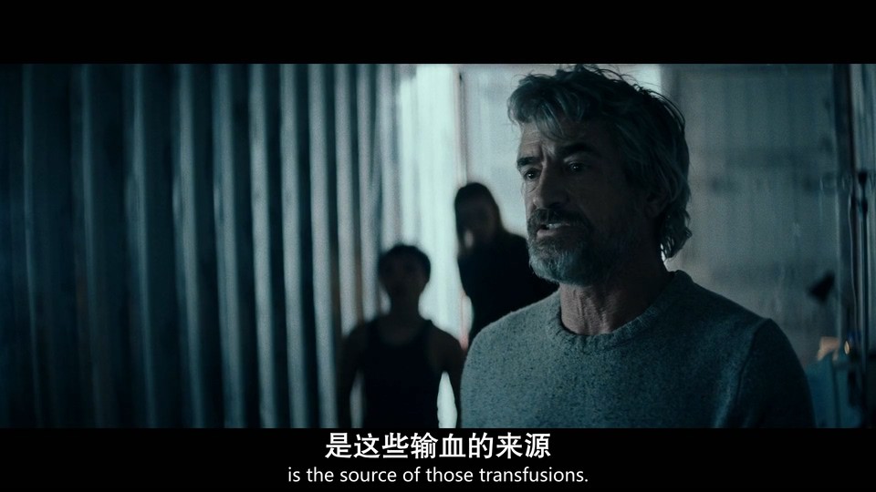 2022悬疑惊悚《夜幕降临》HD1080P.英语中英双字截图