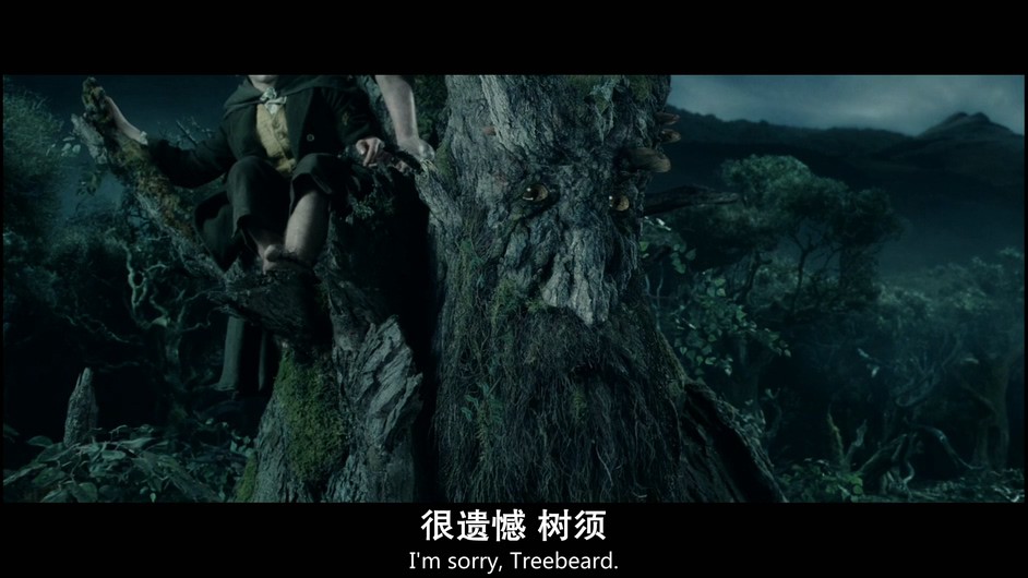魔戒2剧照