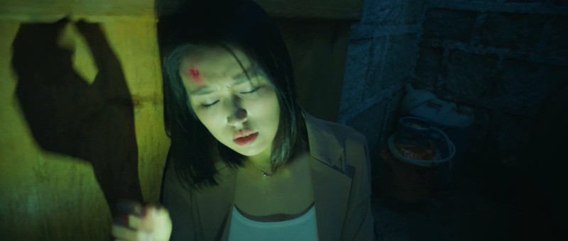 2018国产悬疑《壹号别墅》HD1080P.国语中字截图