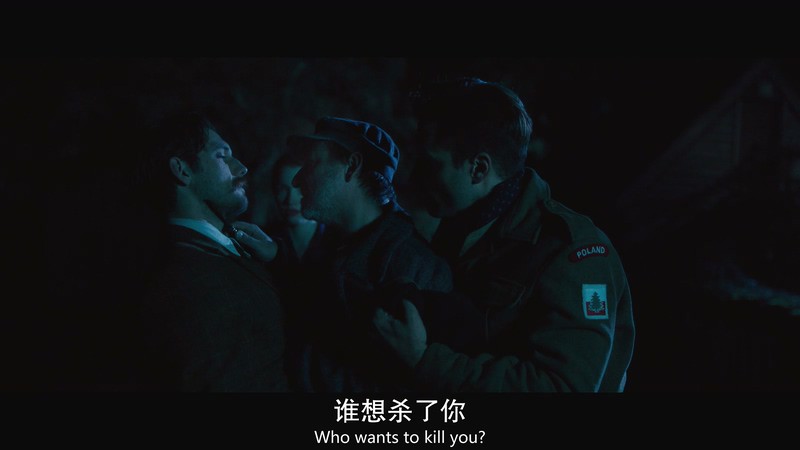 2018波兰惊悚历史《最后证人》BD1080P&BD720P.中英双字截图