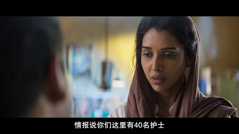 2017动作惊悚《老虎是活的》BD720P.印地语中字截图