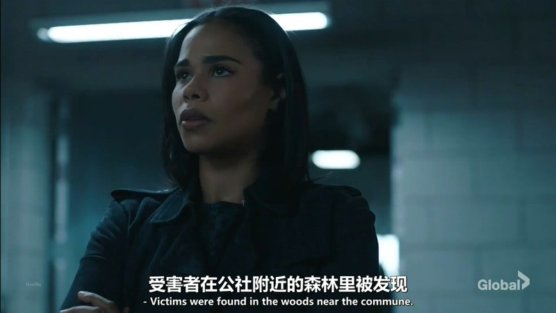 2020美剧《联邦调查局：通緝要犯部》13集全.HD1080P.英语中英双字【每周三更新】截图