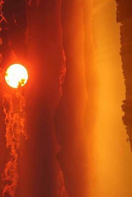 大自然魔幻时刻粤语封面图