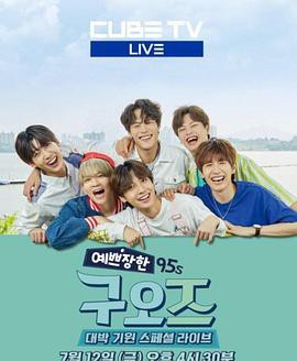 漂亮的95s封面图