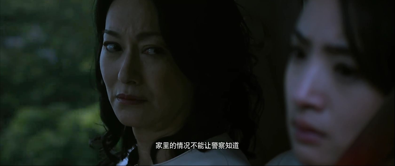 《神秘家族》2017犯罪悬疑.HD1080P.国语中字截图