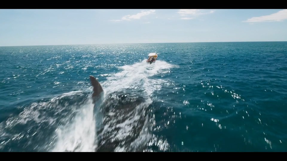图片[4]-狂暴黑鲨 2023美国悬疑 HD1080P 迅雷下载-共享一下