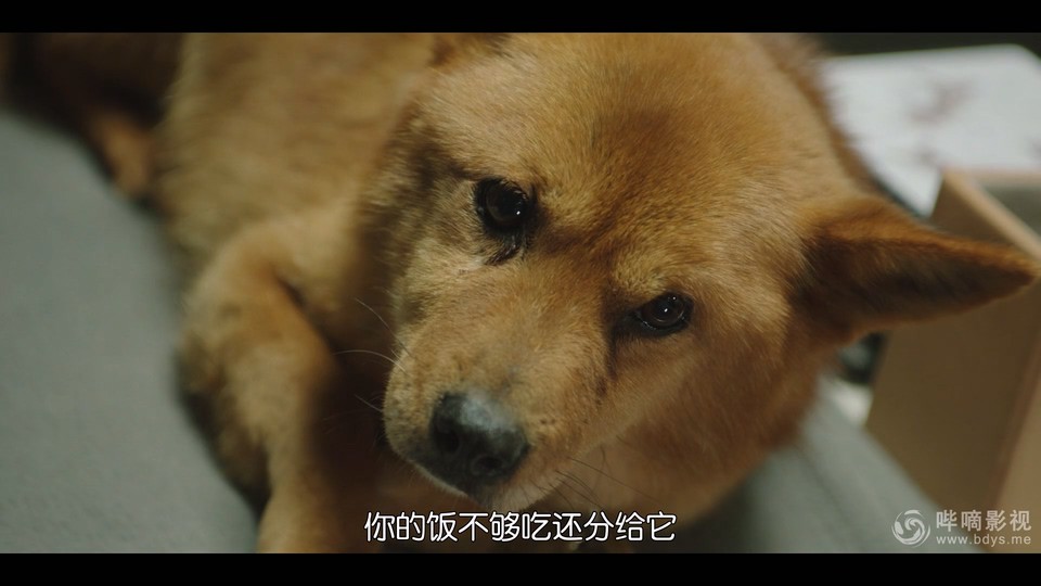  [BT下载][摸心第六感][更至14集][韩语中字][HD-MP4][1080P] 