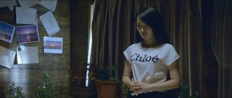 2018爱情《住在海边的猫头鹰》HD1080P.国语中字截图