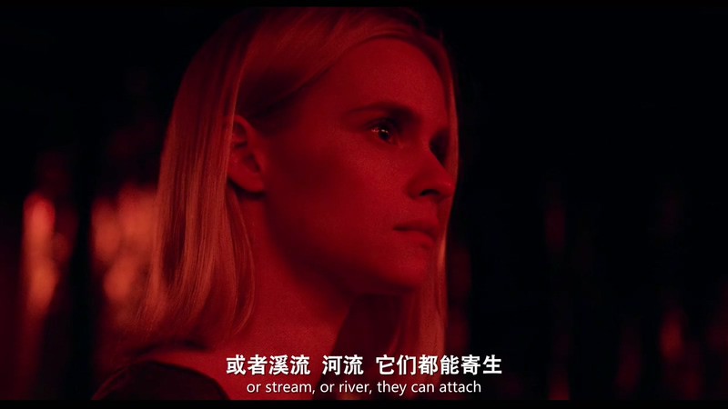 2020悬疑惊悚《谎言之底》HD720P&HD1080P.英语中英双字截图