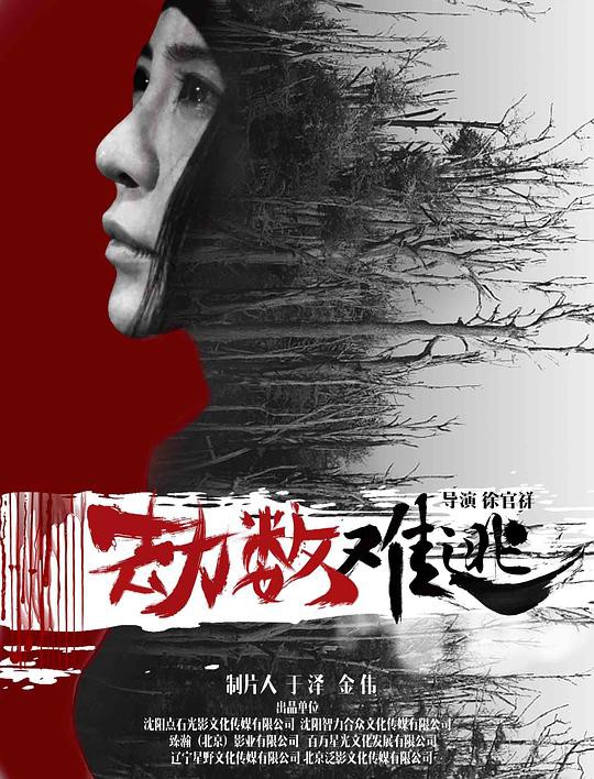 萨尔瓦多系统2008