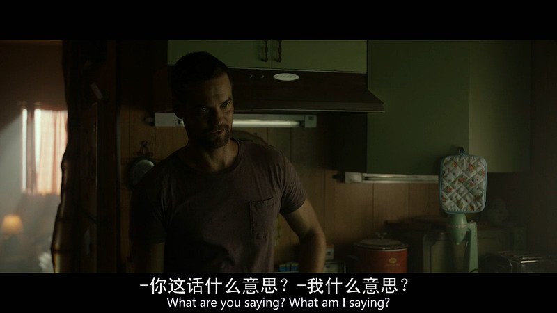 2017加拿大惊悚《唤醒杀手》BD720P.英语中英双字截图