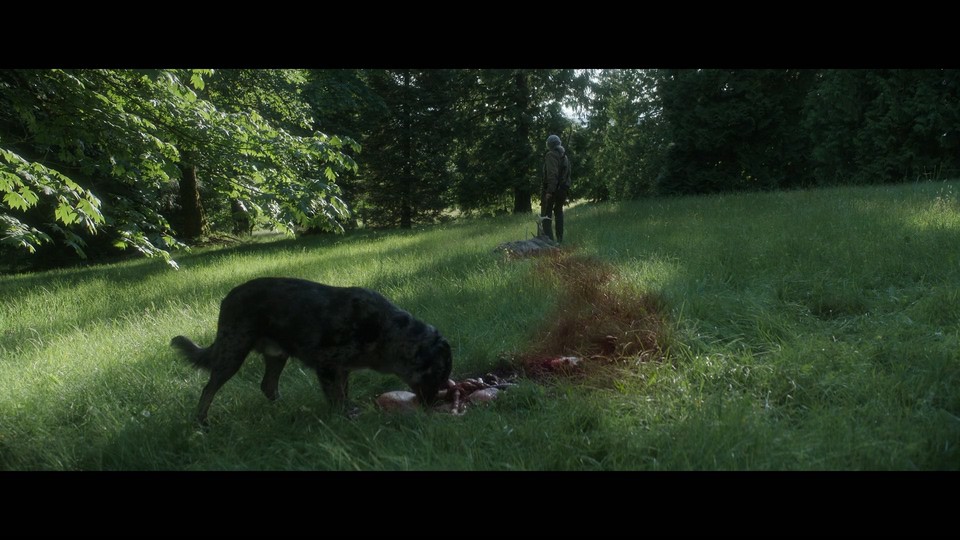 2022犯罪动作《卢/孤岛寻踪》HD1080P.英语中英双字截图