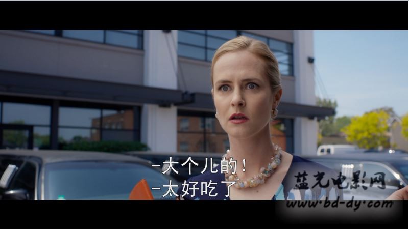 《我盛大的希腊婚礼2》2016美国爱情喜剧.HD720P.英语中字截图