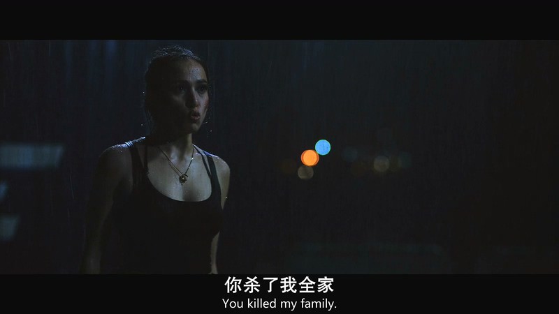 2018惊悚犯罪《心仇》HD720P&HD1080P.英语中英双字截图