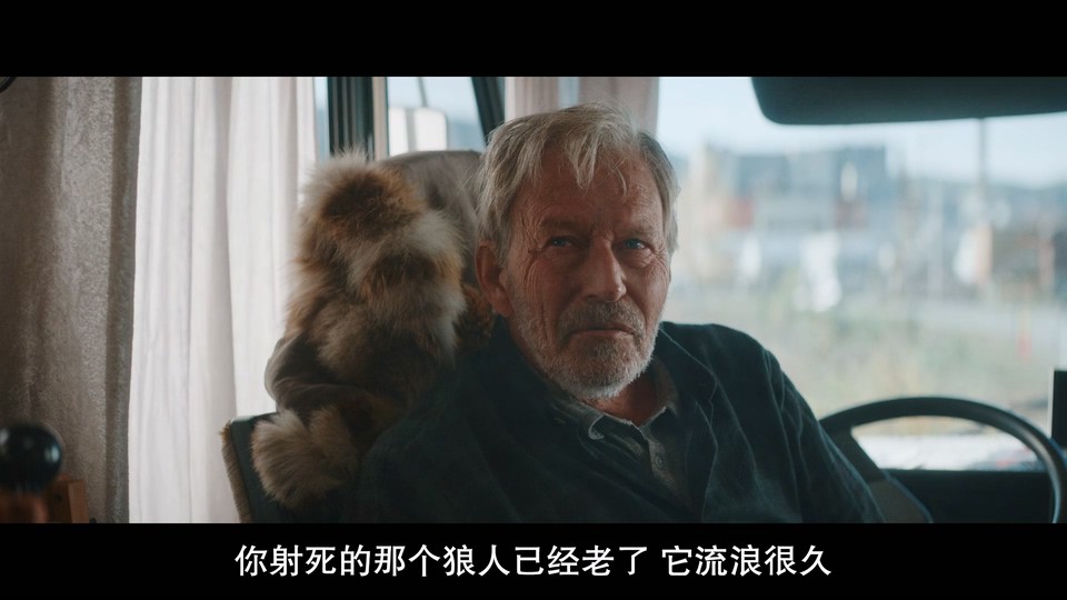 2022恐怖惊悚《维京恶狼》HD1080P.挪威语中字截图