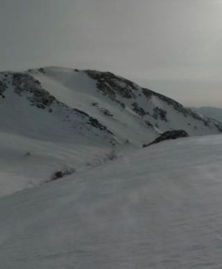 日本印象派通往白山花田的路封面图