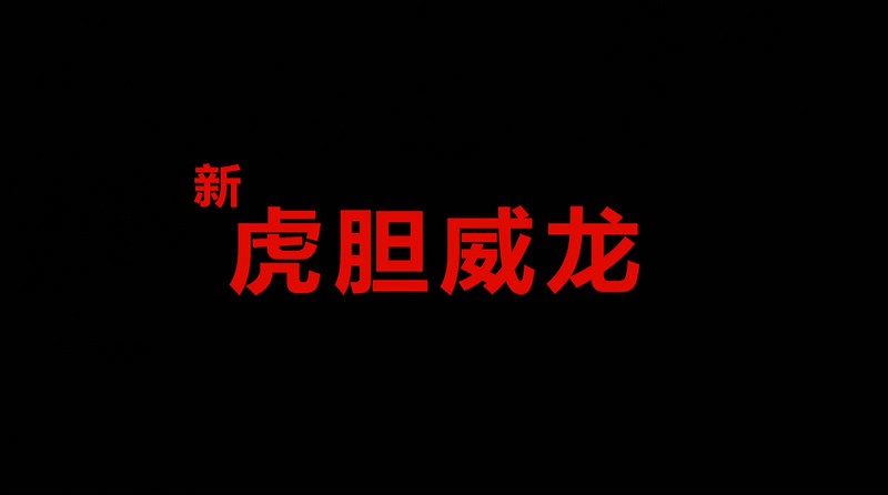 1995动作《虎猛威龙》HD1080P.国语中字截图