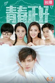 青春正好封面图