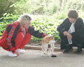 难破MG5特别篇封面图