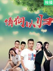 情何以归封面图