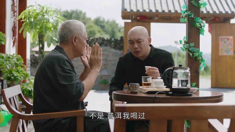 图片[5]-2022国剧《刘老根5》全集 HD1080P 迅雷下载-共享一下