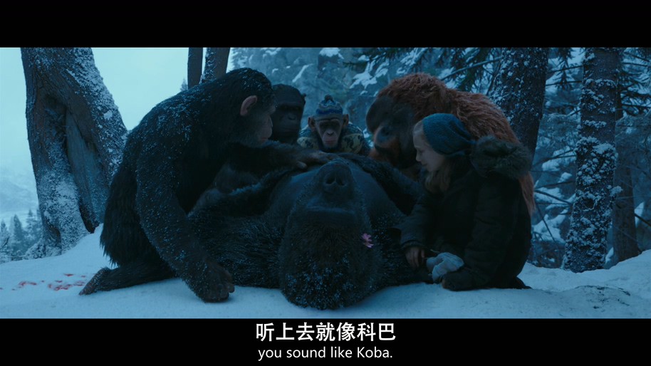 《猩球崛起3：终极之战》2017科幻动作.BD720P&BD1080P.特效中英双字截图