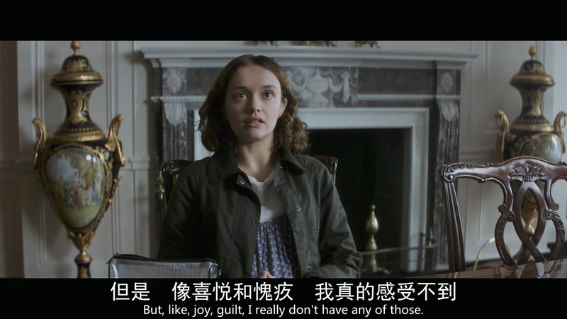 2017惊悚剧情《良种动物》BD720P.英语中英双字截图