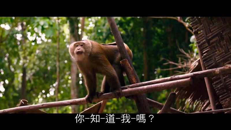 2015冒险喜剧《该死的歌德2》HD720P.德语中字截图