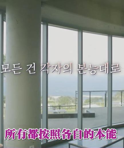 按照各自的本能封面图