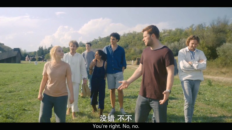 2019悬疑惊悚《仲夏夜惊魂》HD720P&HD1080P.英语中英双字截图