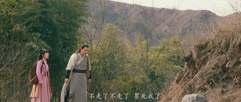 2018古装喜剧《护龙高手卫小保》HD1080P.国语中字截图