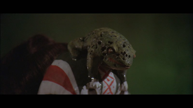 1978高分动作《五毒》BD720P.国语中字截图